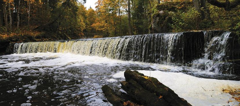 Loodusreis "Lahemaa joad ja joastikud" kaheksale
