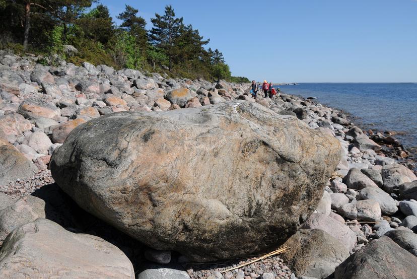 Mohni – avasta Lahemaa pärli