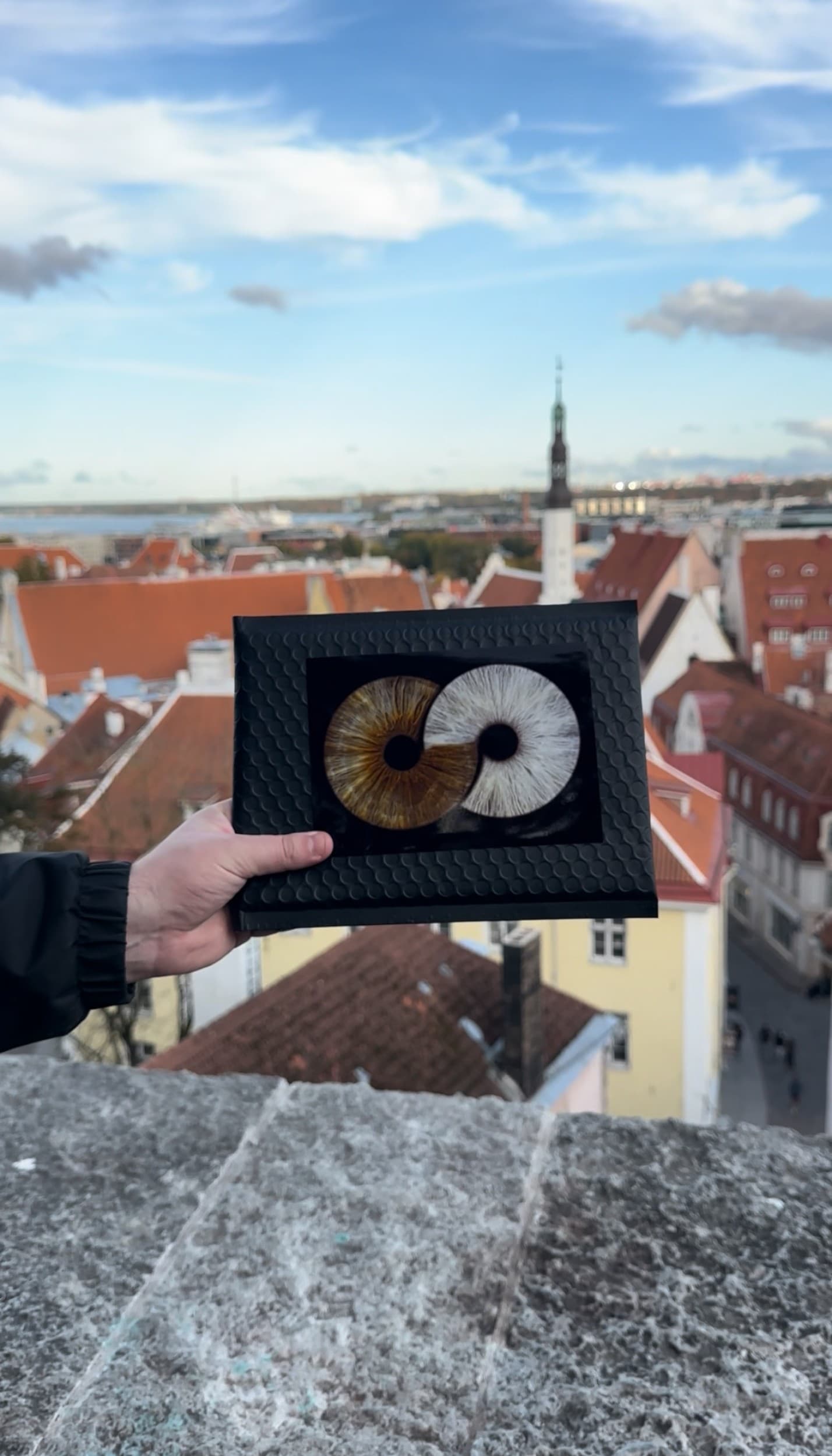 Художественная фотография радужки с печатью формата A4 | Kingitus