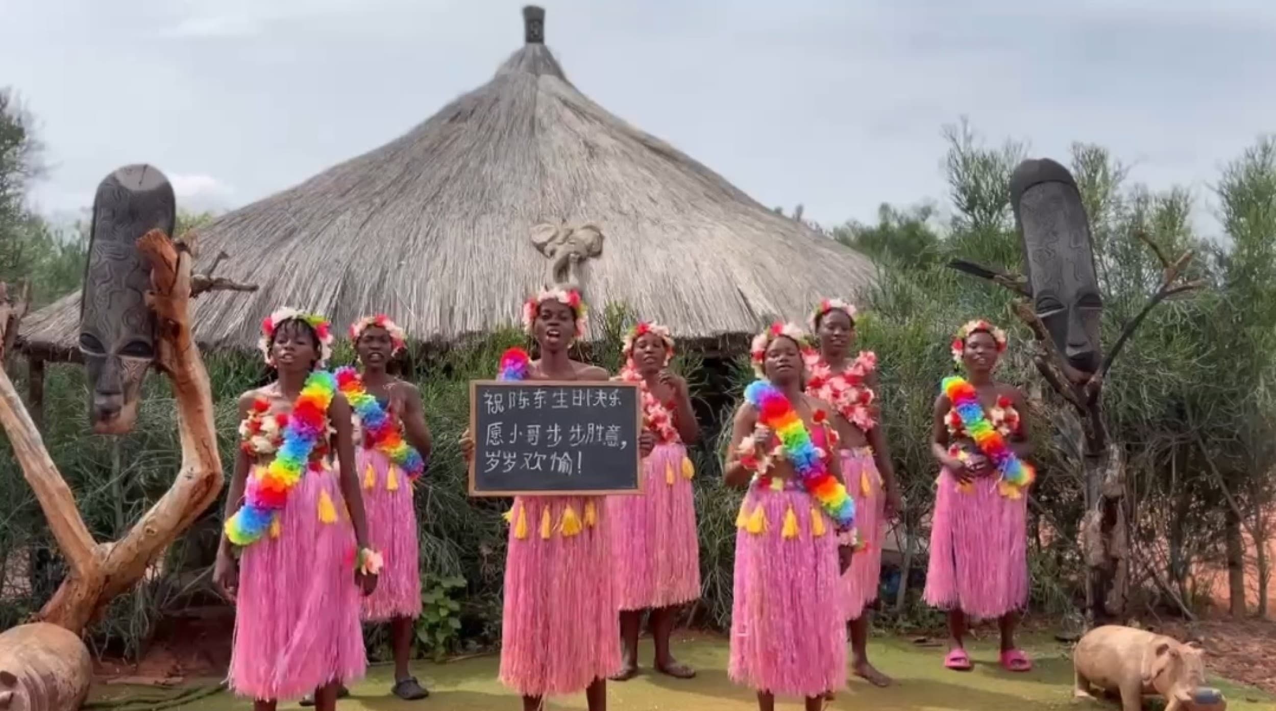 Videotervitus Aafrikast "Roosa seeliku naiskond" | Kingitus