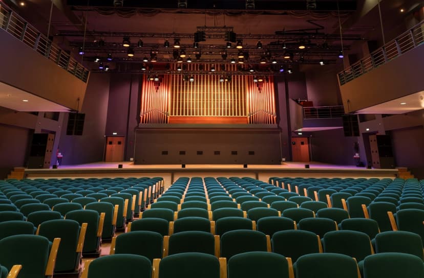 Kontsertõhtu kahele Vanemuise kontserdimajas