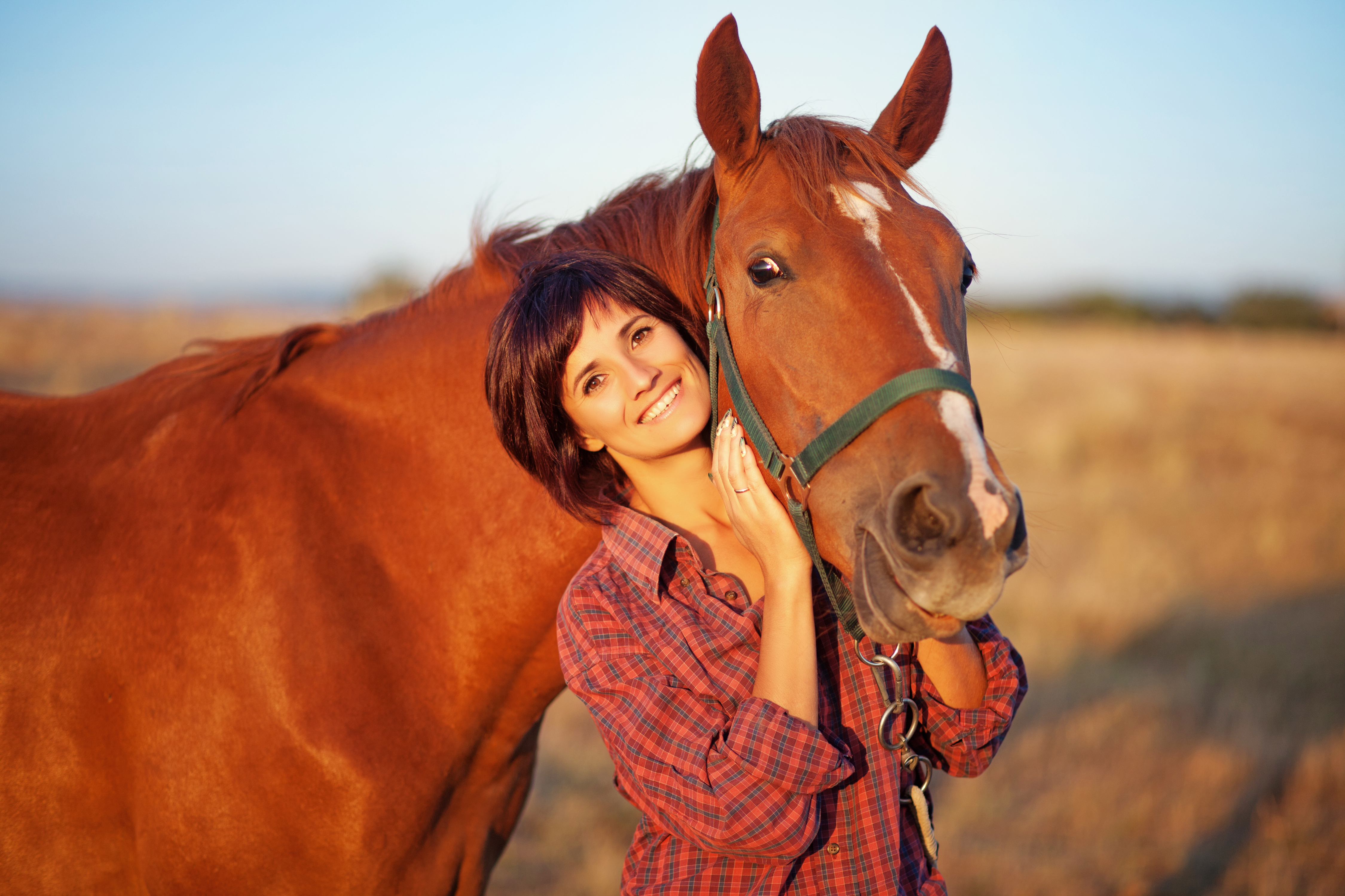 shutterstock_112375406